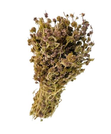 AgoraMarket Wilde Gedroogde Polei Munt Hele Tros 220g 950g Klasse A Mentha Pulegium 460 gram