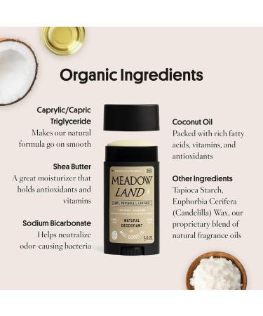 All-Day Natural Deodorant for Women & Men | Paraben & Aluminum Free | Organic Coconut Oil & Shea Butter | Meadow Land 2.6 Oz - Buy Online on GoSupps.com