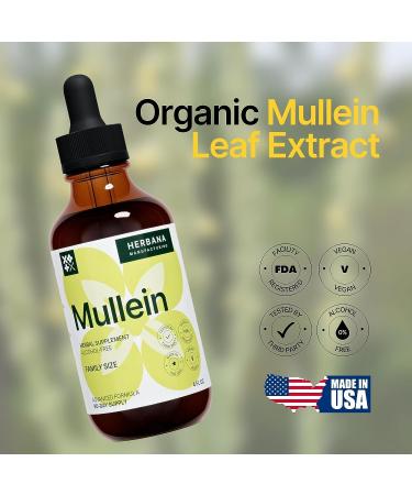Mullein Leaf Liquid Extract 4 Fl Oz - Lung Cleanse and Detox Tincture for Respiratory Health - Immune Support Drops - Natural Supplement - Buy Online on GoSupps.com