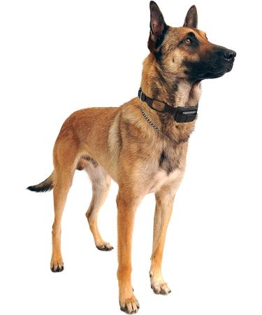 Educator Dog Training Collar Receiver Comfort Pad | Reduces Irritation | Long Hair Winged Design - Buy Online on GoSupps.com