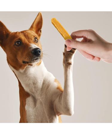 Only One Treats Yak Cheese Dog Chew for Pet s Dental Health Natural and Long-Lasting Himalayan Yak Snak for Dogs of All Ages and Sizes XLarge Himalayan Dog Chew and Puppy Teething Treats (4x155g) 4 Xlarge - Buy Online on GoSupps.com