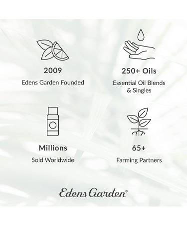 Fighting Five Essential Oil Synergy Blend 10ml - 100% Pure Therapeutic Grade, Undiluted Aromatherapy Scented Oil - Homeopathic Wellness (1 Pack) - Buy Online on GoSupps.com