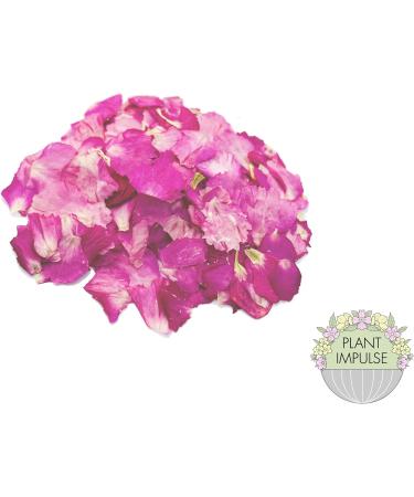 Edible Flower Petals for cocktails and cakes baking celebrations weddings (Pink) - Buy Online on GoSupps.com