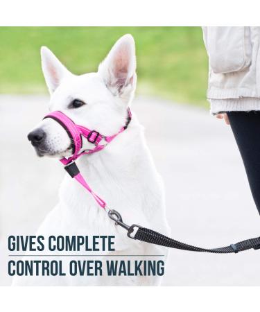 GoodBoy Halter for Dogs - Pink Nylon with Black Padding - 2 Piece Set | International Shipping Available - Buy Online on GoSupps.com