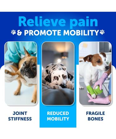 Glucosamine for Dogs - Advanced Hip and Joint Supplement for Dogs - Glucosamine Chondroitin for Dogs - Dog Joint Pain Relief - MSM - Support Dog Joint Supplement Health - 120 Chews 120 Chews Brown - Buy Online on GoSupps.com