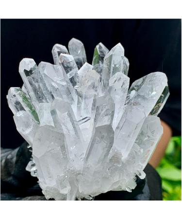 Natural White Phantom Quartz Crystal Cluster Samples Home Office Decoration Crystal Cluster (Size : 480-500) - Buy Online on GoSupps.com