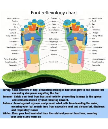 Plantar Fasciitis Insoles for Men & Women - High Arch Support Insoles for Flat Feet | Advanced Space Technology Nano Shoe Insoles for Ultimate Comfort - Buy Online on GoSupps.com