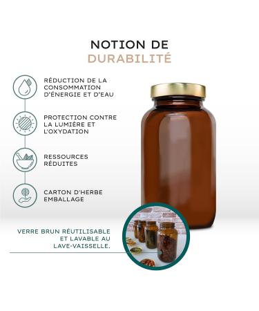 Nature Basics ORGANIC Activated Fenugreek Capsules | Highly Dosed Natural Fenugreek | Daily Dose of 2 600mg | 180 Capsules Without Additives Lab Tested & From Germany - Buy Online on GoSupps.com