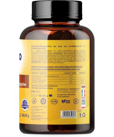 DMG Advanced 125 mg 240 Pure Dimethylglycine Capsules - With Folic Acid & B12 for Improved DMG Absorption Gluten Free Non-GMO Vegan. Memory Stress Concentration - Buy Online on GoSupps.com