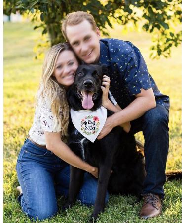 NTKIO Big Sister Pet Dog Bandana - Funny White Flower Pattern Plaid Cotton for Pregnancy Announcement and Gender Reveal - Dog Lovers Gift - Buy Online on GoSupps.com