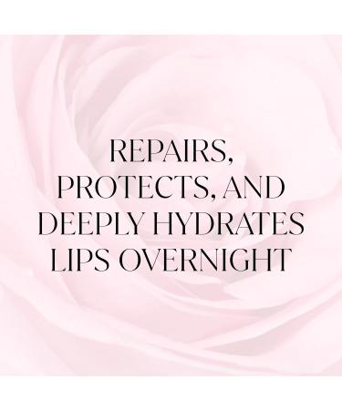 FEMMUE Lip Sleeping Mask (Rosy Petal) | Hydrating Balm to Soften Dry Chapped Lips | Overnight Moisturizing Treatment With Vitamin E | Korean Beauty Skincare - Buy Online on GoSupps.com