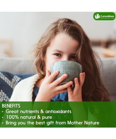 Lavendium Permium 120g (4.23oz) Natural Moringa Dried Leaves 100% Natural & Pure Moringa Leaves Moringa Loose Leaf Herbal Tea No Additives No Caffeine Vegan - Buy Online on GoSupps.com