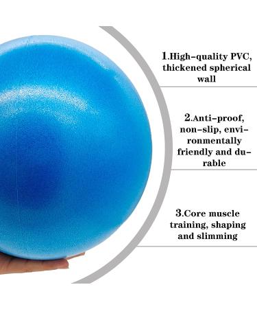 QISHOP Mini Pilates Exercise Ball 6 inch with Pump - Pink Small Bender Ball for Yoga, Core Training, Physical Therapy - Improve Balance at Home, Gym, Office - Buy Online on GoSupps.com