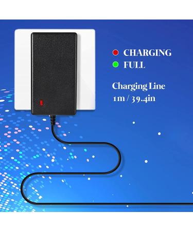 24V Massage Gun Charger AC/DC Adapter | Universal Power Supply for Muscle Deep Tissue Massagers - Buy Online on GoSupps.com