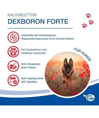 Nutrilabs Dexboron Forte Dog Chewing Tablets - 450 pcs - Natural Regeneration with Devil s Claw Pasture Bark & Treeto Extract for Dogs - Support Your Dog's Health - Buy Online on GoSupps.com