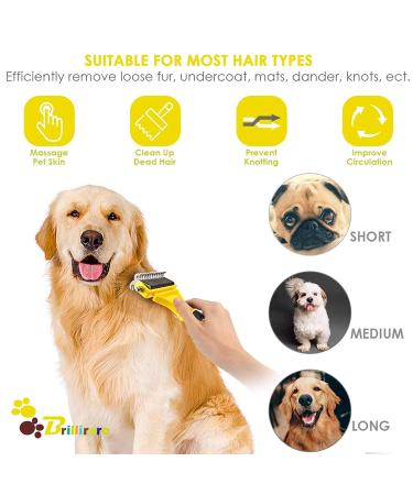 BRILLIRARE Dematting Tool + Free Stainless-Steel Comb | 2 Sided Pet Grooming Tool for Cats & Dogs - Undercoat Blade Rake for Deshedding & Removal of Mats/Tangles - Buy Online on GoSupps.com