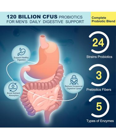 Probiotics for Men Digestive Health 120 Billion CFUs Mens Probiotic with Digestive Enzymes & Prebiotics & Saw Palmetto & Cranberry for Gut Prostate & Urinary Tract Health Shelf Stable 90 Capsules 90 Count (Pack of 1) - Buy Online on GoSupps.com