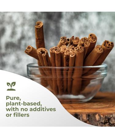 Gade Nutrition Ceylon Cinnamon Extract Powder | 250g (8.8 oz), 1000mg per Serving, 250 Servings | Non-GMO, Gluten-Free, Dairy Free, Vegan | USA Made - Buy Online on GoSupps.com