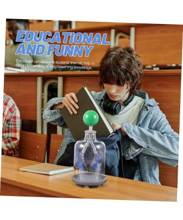 SOLUSTRE Lung Breathing Model - Human Body Organs Teaching Aid - Buy Online on GoSupps.com