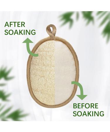 2 Pack Natural Loofah Body Scrubber | Eco-Friendly Exfoliating Shower Sponge for Women and Men - Buy Online on GoSupps.com