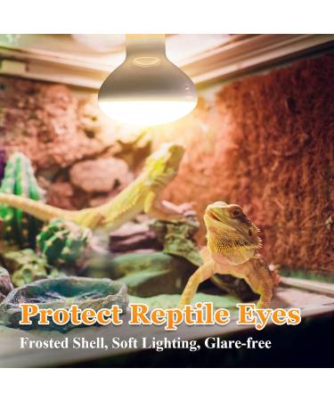 MIXJOY 2 Pack Reptile Heat Lamp 100W UVA Daylight Basking Spot Light Amphibians Basking Bulbs Heat Lamps Heat Lamp Bulbs for Reptiles Lizard Tortoise Bearded Dragon - Buy Online on GoSupps.com
