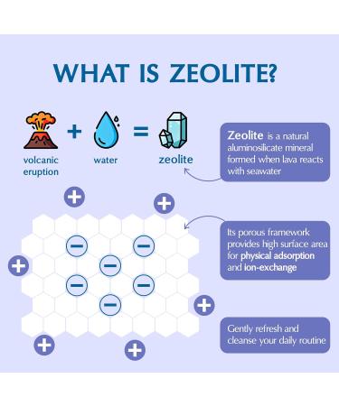 All-in-One Zeolite Detox | Clinoptilolite Zeolite Powder Supplement with Probiotics & Prebiotics | Gut, Energy & Immune | High Absorption, Micronized & Activated Vegan, 100 Servings 10.58 Ounce (Pack of 1) - Buy Online on GoSupps.com