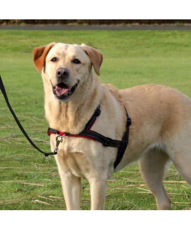 Buy Trixie Trainer Crockery Lead'n'Walk Soft Size M-L (55-90cm) | Anti-Draw & Adjustable for Medium Dogs - Neoprene Padded - Black (13056) - Buy Online on GoSupps.com