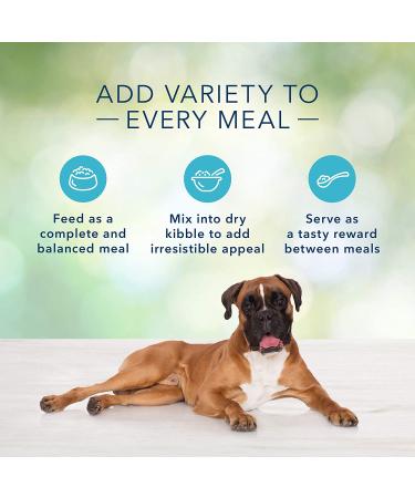 Blue Buffalo Freedom Grain-Free Lamb Wet Dog Food 12.5 oz Can (Pack of 12) - Buy Online on GoSupps.com