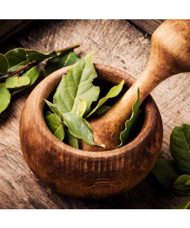Dried organic bay leaves (100g) organic cut bay leaves bay leaves from controlled organic farming laboratory tested 100% - Buy Online on GoSupps.com