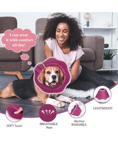 VAVOPAW SCHTECHRIFE Adjustable Protective Collar for Dogs & Cats - Breathable Leash-Proof & Recyclable Neckband - Buy Online on GoSupps.com