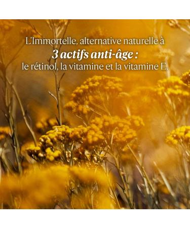 L'OCCITANE - Reset Night Oil-in-Serum Immortelle Reset - 30 ml - Made in France - Buy Online on GoSupps.com