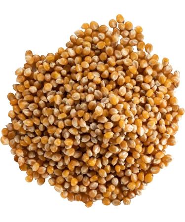 SUN - Popcorn 250g - Corn for Pop Corn - Corn Grains for Cooking Stove Pan Microwave & Popcorn Machine - Salt or Sweeten - - Buy Online on GoSupps.com