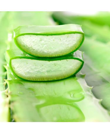  HAIR BODY STORE EPIKOA PRE-WAXING LOTION ALOE VERA Pre-wax gel removes skin residue before sugaring or Brazilian hot wax hair removal 250 ml Made in Italy - Buy Online on GoSupps.com