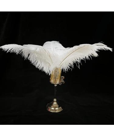 White Ostrich Feathers Craft Pack - 10pcs, 16-18 inch for Wedding, Party, DIY Decor - Buy Online on GoSupps.com