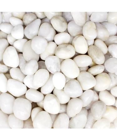 LONTOM Natural White Pebbles 2.2lb Decorative Stone Polished Gravel River Rocks for Plants Home DIY Decor Aquarium Gravel Vase Fillers Fairy Garden Crafting Animal Habitat Medium