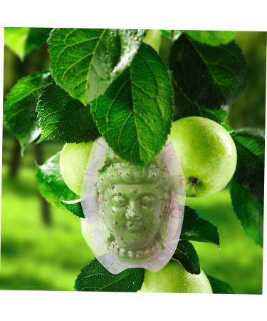 GANAZONO Fruits Forming Mould Vegetable Ginseng Vegetable Shaping Fruit Cucumber Fruits and Vegetables - Buy Online on GoSupps.com