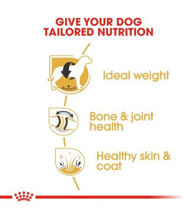 Royal Canin Dog Food Labrador Retriever Dry Mix 12kg - Buy Online on GoSupps.com