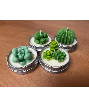 Navani Succulent Silicone Mold - 9 Pcs Cactus Resin, Candle, Soap, Cake Decoration DIY Mold - Buy Online on GoSupps.com