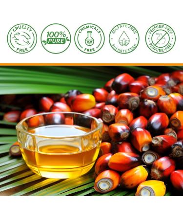 PBeauty 2x Organic Batana Oil Vegan for Hair Face & Nails Cold Pressed 60ml For Hair Growth & Skin Care Oil against Hair Loss & Split Ends Hair Growth Hair Care 2 x 60ml - Buy Online on GoSupps.com