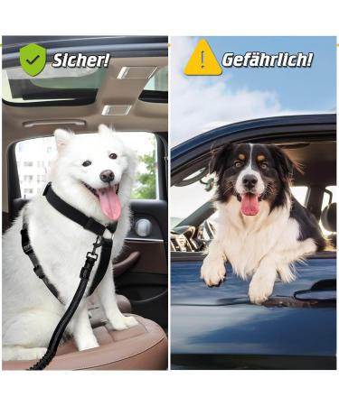 Premium Dog Seat Belt Set - Adjustable Car Safety Harness for Small & Large Dogs | 2-Piece Taval Stroke Belt for Back Seat Isofix - Buy Online on GoSupps.com