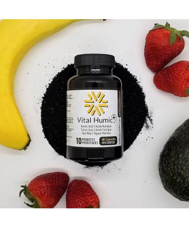 Vital Humic + || Natural health food supplement || Probiotics + Humic Acid + Fulvic Acid || Vitamin and trace minerals || Heavy metal detox - Buy Online on GoSupps.com