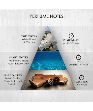 Viscont../i Blue Ocean Perfume For Men Eau De Parfum Aquatic Fragrance with Citrus Fruity Musk & Cedarwood Long Lasting Scent and Anti-Stain Luxury Perfumes Outing & Sports 100 ml - Buy Online on GoSupps.com