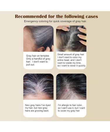 Hair Color Stick Instant Hair Mask Pen 20 g hair color stick with integrated instant camouflage of white hair waterproof and sweatproof Black Brown - Buy Online on GoSupps.com