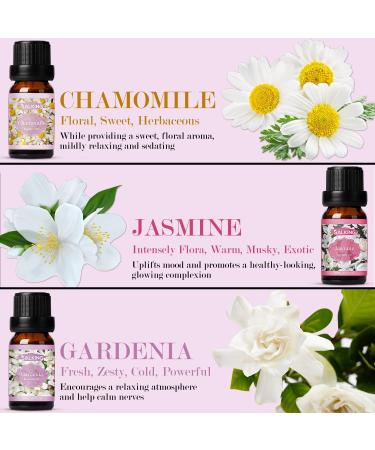SALKING Essential Oils Set - 100% Pure Aromatherapy Gift for Diffusers - Lavender, Rose, Jasmine, Cherry Blossom, Gardenia, Chamomile - 6 x 10 ML - Buy Online on GoSupps.com