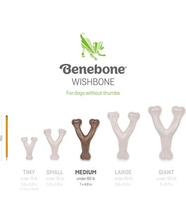 Benebone Wishbone Dog Chew Toy for Aggressive Chewers - Real Bacon Flavor - Made in USA (Medium) - Buy Online on GoSupps.com