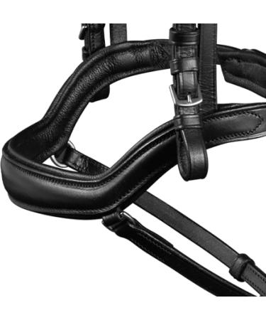 WALDHAUSEN X-Line New Shape II Bridle for Warmblood - Black | Premium Equestrian Gear International Shipping Available - Buy Online on GoSupps.com