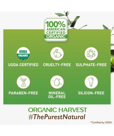 Organic Harvest Lily Flavor Pink Lip Balm - 100% Organic Paraben & Sulphate Free | Kids & Girls Lip Care for Dry Chapped Lips with Olive Oil Jojoba Oil & Shea Butter - 10 GM - Buy Online on GoSupps.com