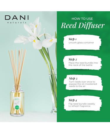Natural Reed Diffuser Set - Clean Bamboo Bergamot Aromatherapy | DANI Naturals - Alcohol Free | 10 Sticks 3.5 oz - Buy Online on GoSupps.com