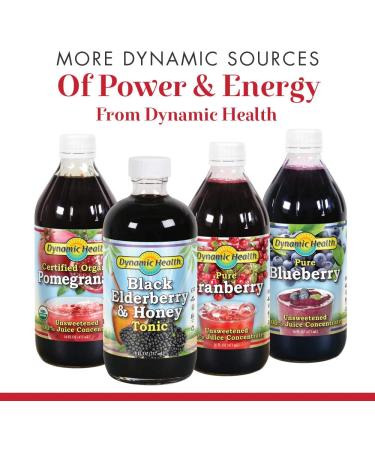 Dynamic Health Goji Juice Blend - Pack of 2 | Maqui, Elderberry, Pomegranate, Raspberry, Blueberry | Vegetarian, Gluten-Free, BPA-Free | 32oz - Buy Online on GoSupps.com