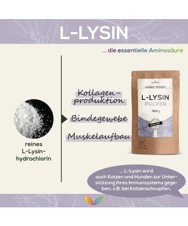 L-Lysine Powder 500g | Vegan Protinogenic Amino Acid | 100% Pure HCl | Boost Collagen Production | Laboratory Tested | Quality from Austria - Buy Online on GoSupps.com